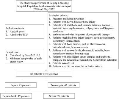 Bone homeostasis disorders increased the mortality of sepsis patients: A preliminary retrospective cohort study